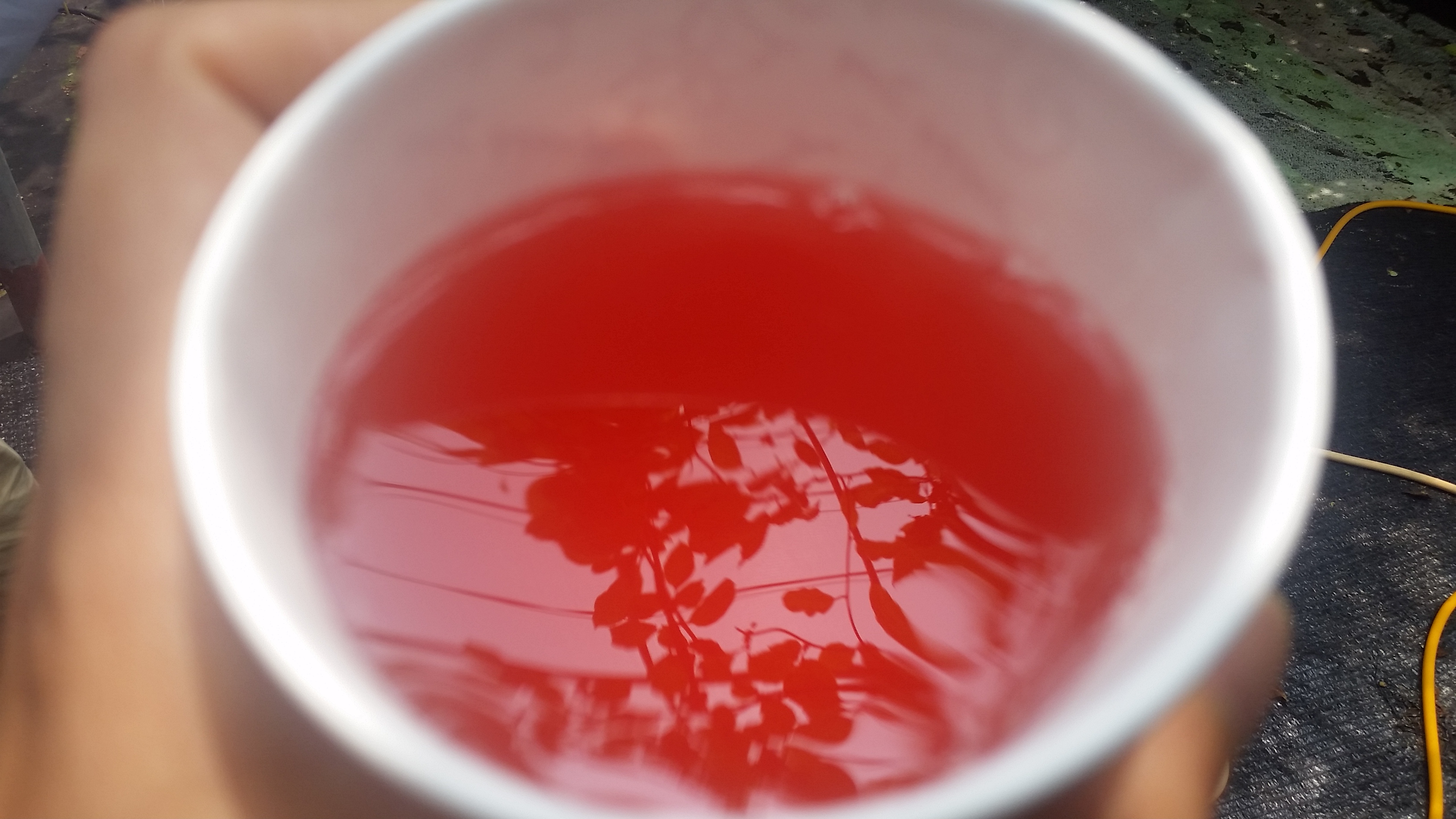 컵 속에 뭐가 담겨 있을까요?